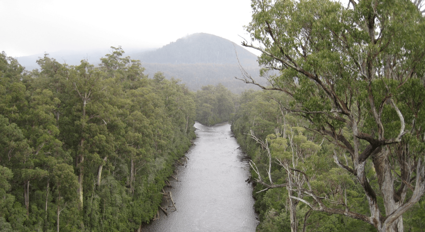 Tahune AirWalk: Treetop Steel Above the Huon River