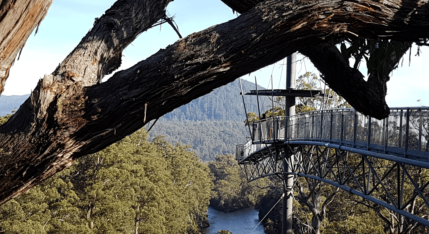 Tahune Airwalk: Treetop Steel Above the Huon and Picton Rivers