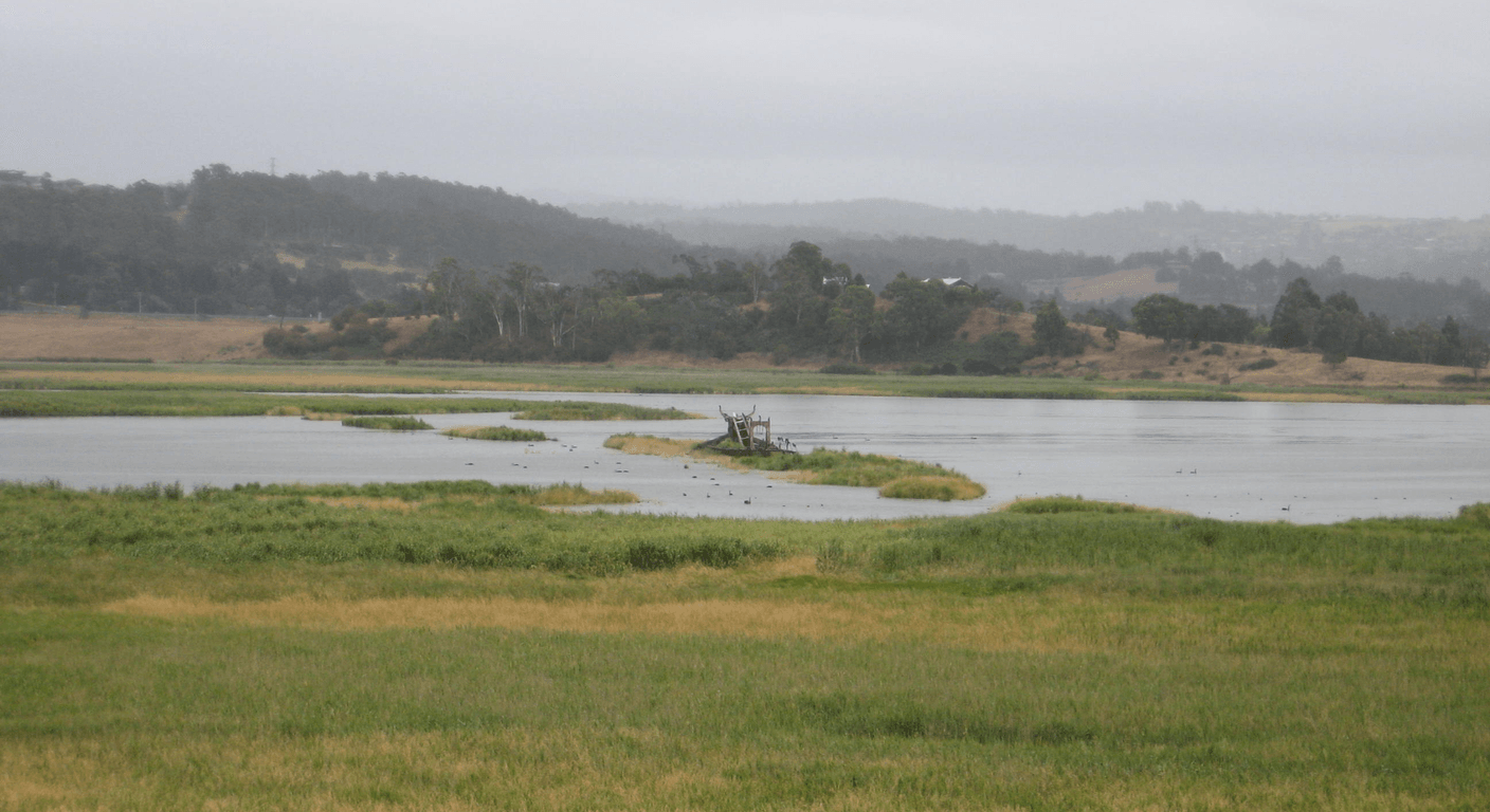 Tamar Island Wetlands: Launceston's Easiest Wildlife Walk