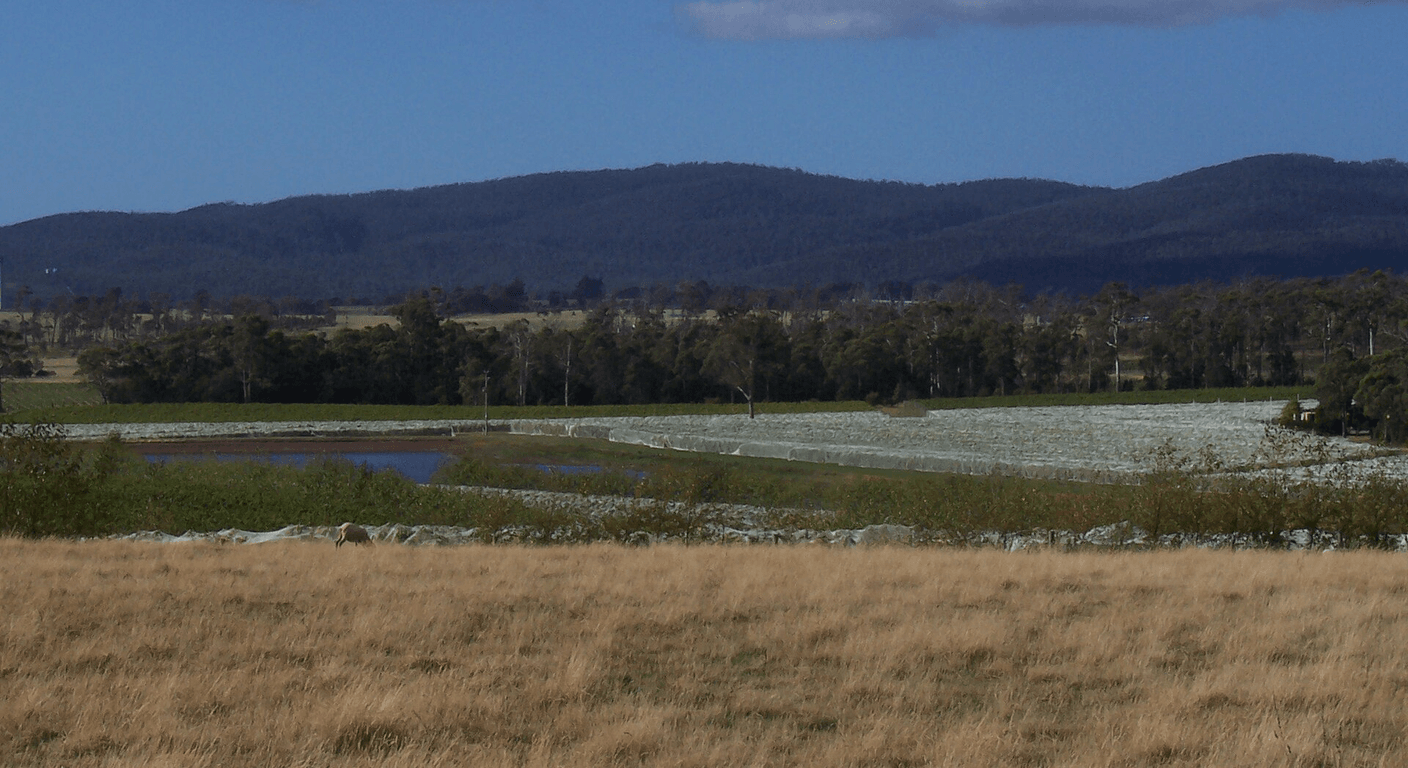The Tamar Valley: Launceston's Wine River Loop
