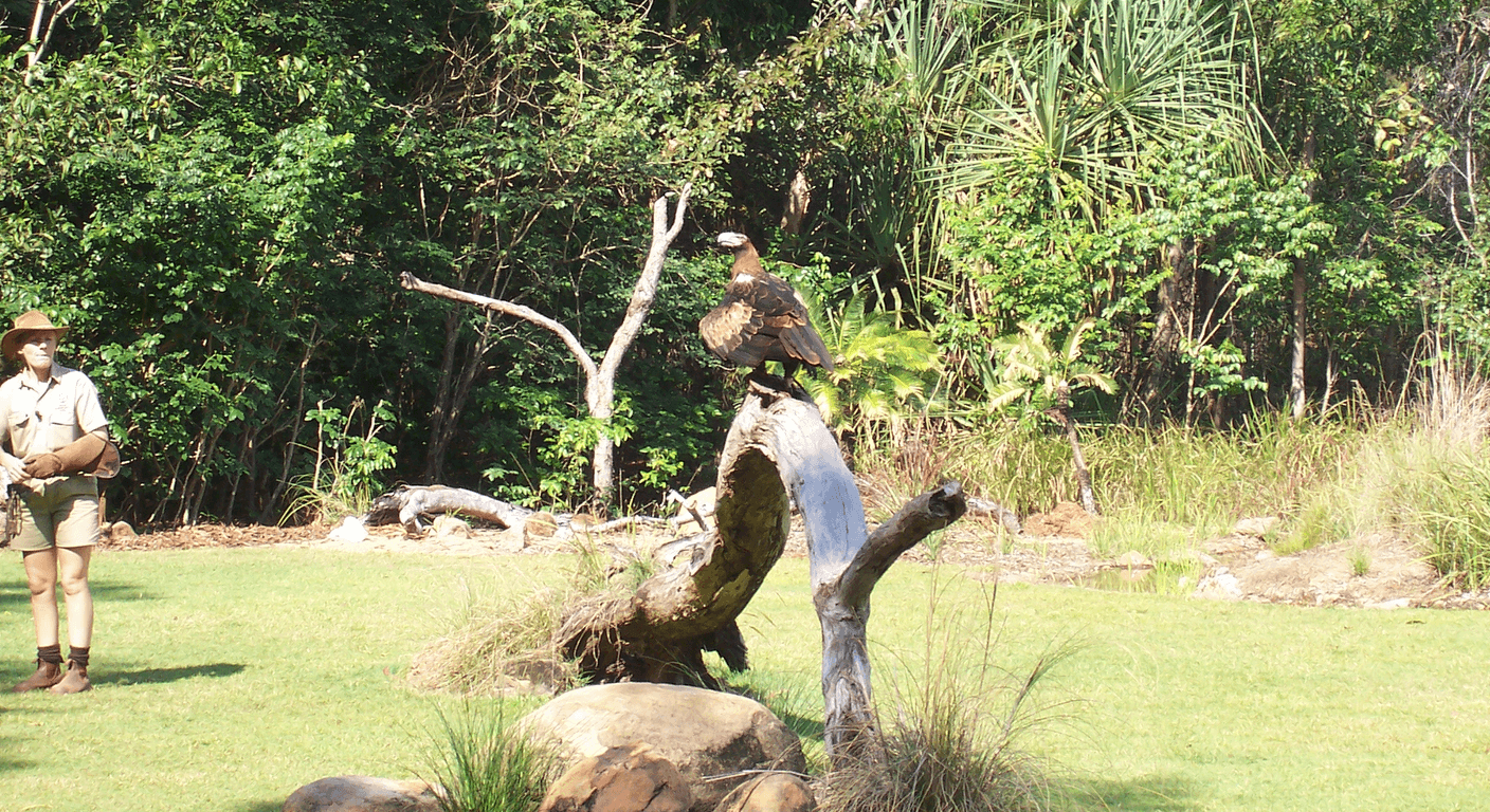 Territory Wildlife Park and Berry Springs: Wildlife Then a Swim
