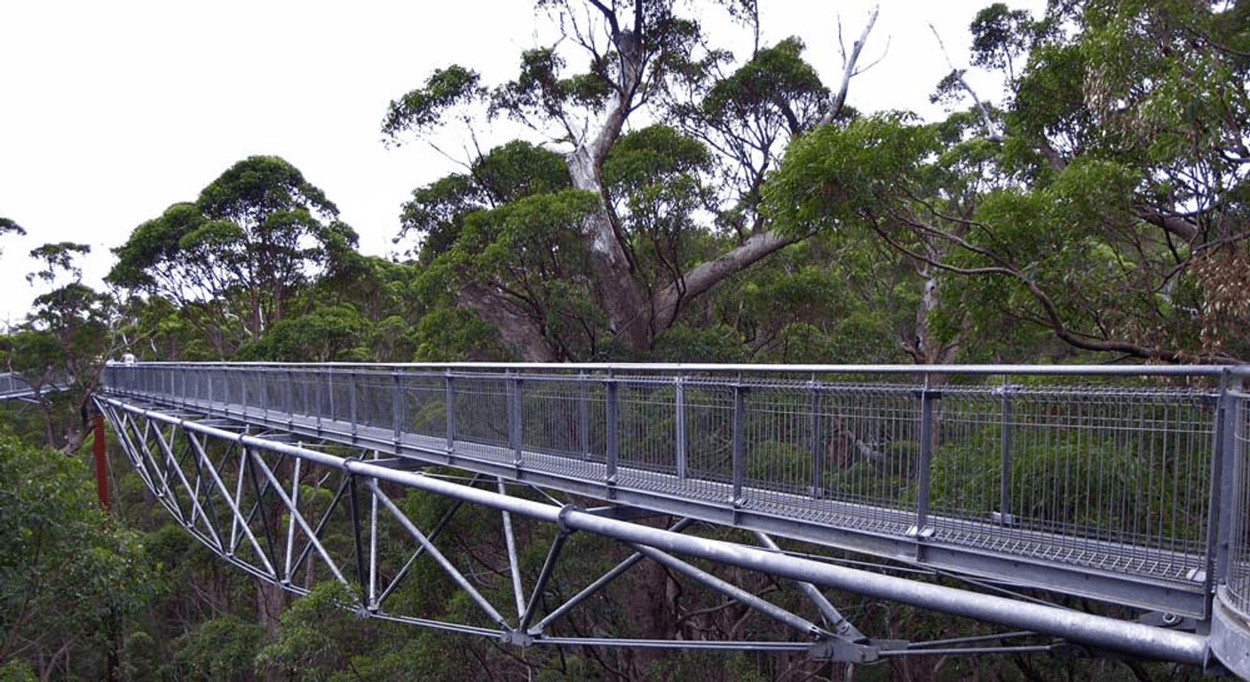 Valley of the Giants Tree Top Walk, Walpole: Forest Canopy Without the Climb