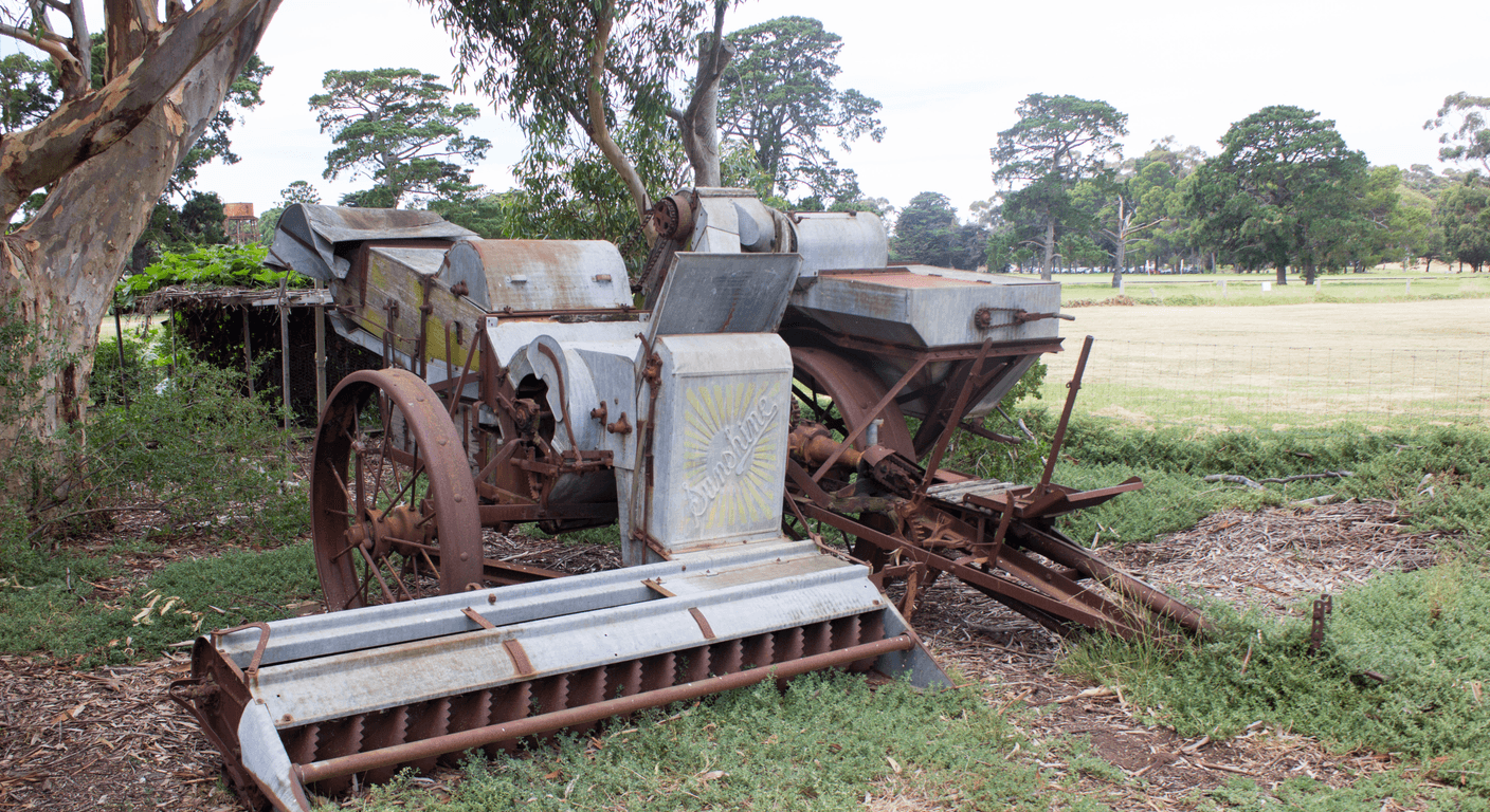 Werribee Park in Winter: Quiet Mansion Grounds and Fewer Crowds