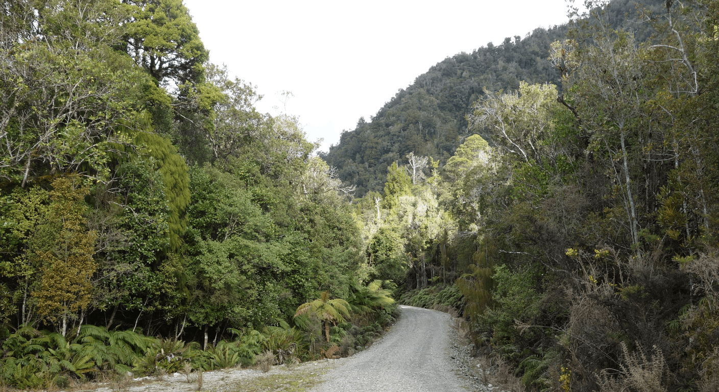 West Coast Wilderness Railway: Steam Through Queenstown's Rainforest Gorge