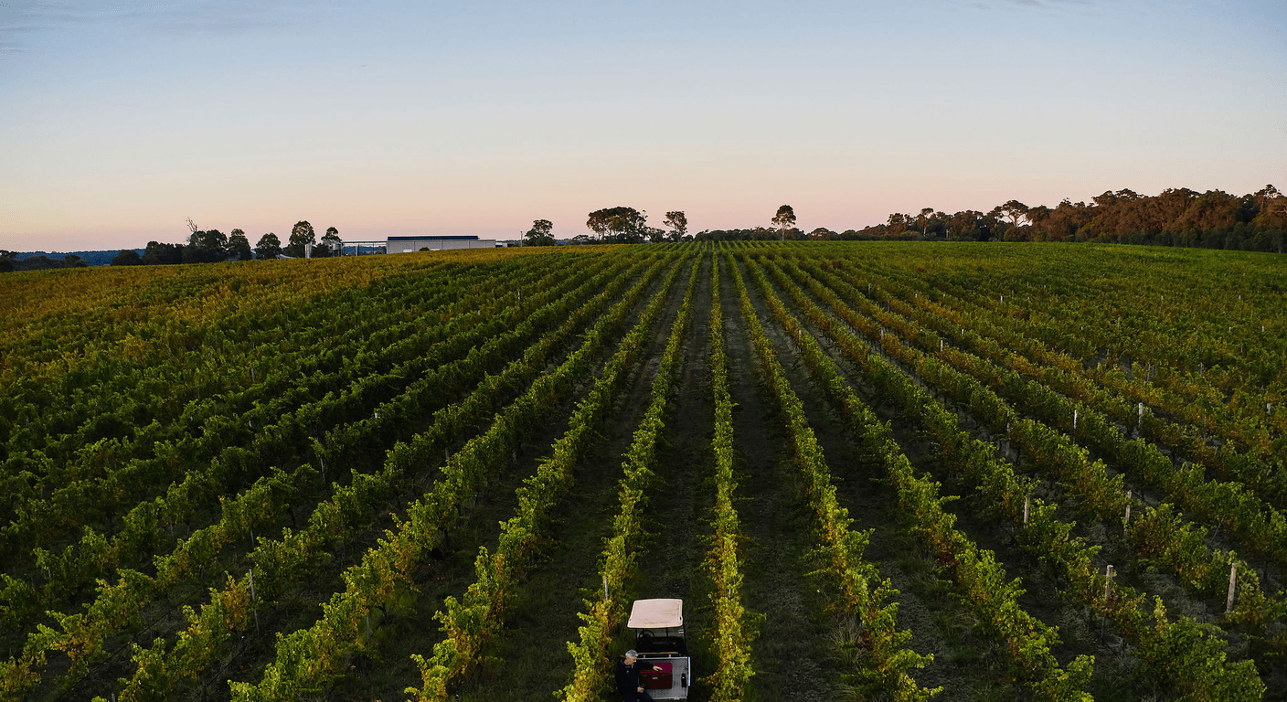 Wilyabrup: Margaret River's Original Wine Country for Over-50s
