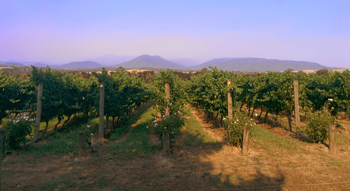 The Yarra Valley's Hidden Cellar Door Lunches